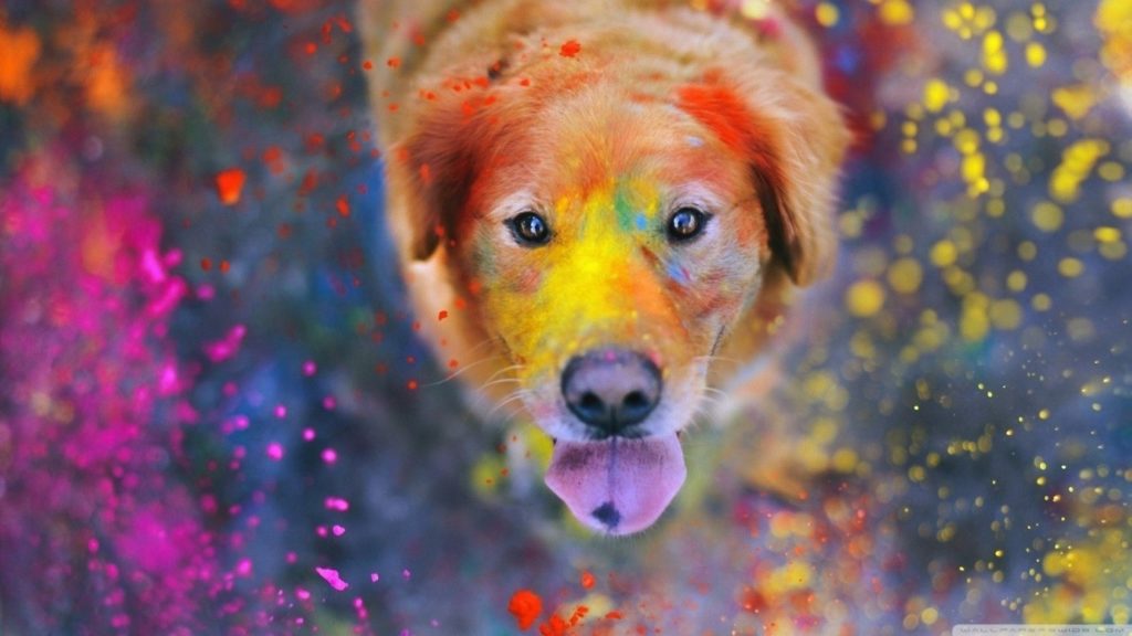 5 Ways to celebrate an eco-friendly Holi