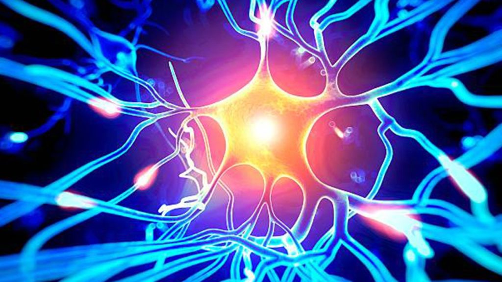 How does Anesthesia works?