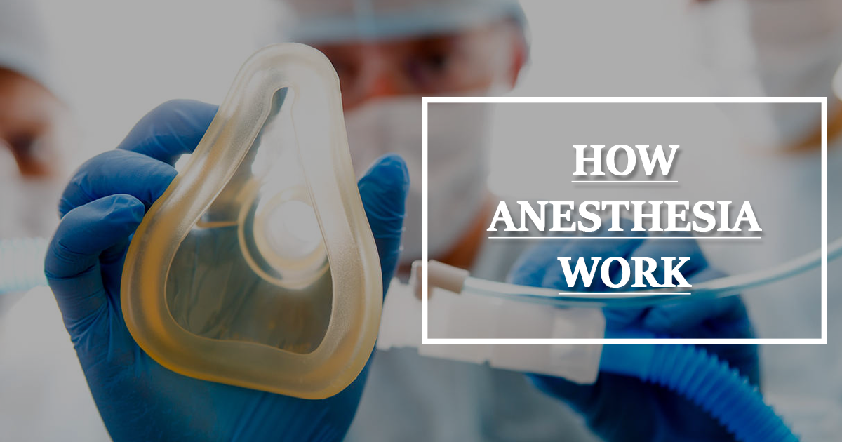 How does Anesthesia works?