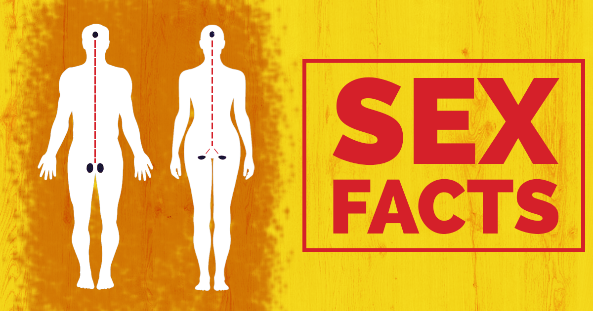 Here are some amazing ancient sex facts you would like to know