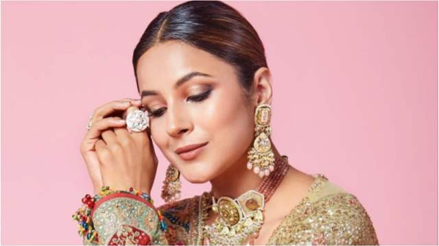 Shehnaaz Gill proclaims herself a "big celebrity" and repeats her now-iconic line from Bigg Boss, "sadda kutta, kutta, tuada kutta Tommy
